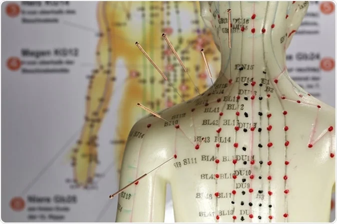 Scientific research for back pain
