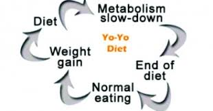 cycle of yoyo diet in weight loss